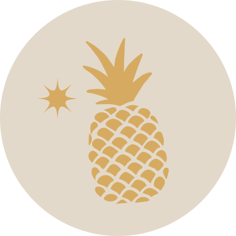 Sluitzegel silhouette oranje ananas