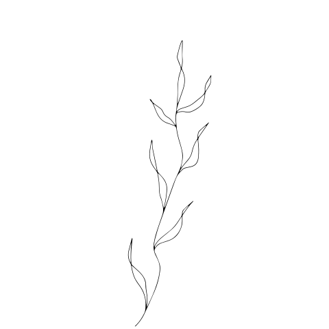Sluitzegel sluitsticker lijntekening sierlijk takje