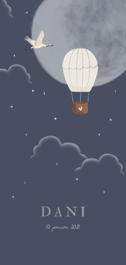 Geboortekaartje langwerpig luchtballon nacht kraanvogel zilverfolie