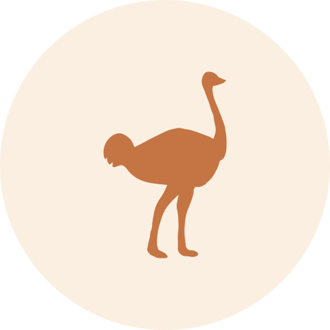 Sluitzegel met mooie struisvogel silhouette
