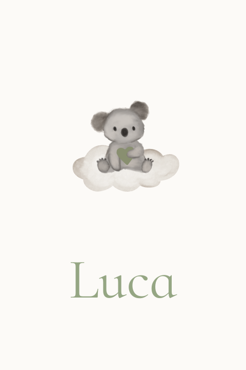Geboortekaartje aquarel koalabeertje knuffeldier wolk