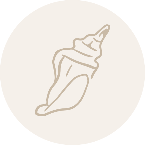 Sluitzegel sluitsticker envelop beachthema stransvibe schelp
