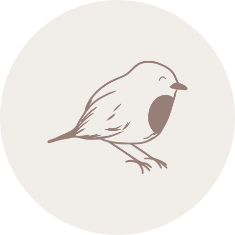 Sluitzegel sluitsticker met roodborstje