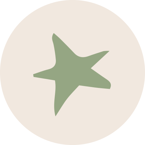 Sluitzegel met ster in groen