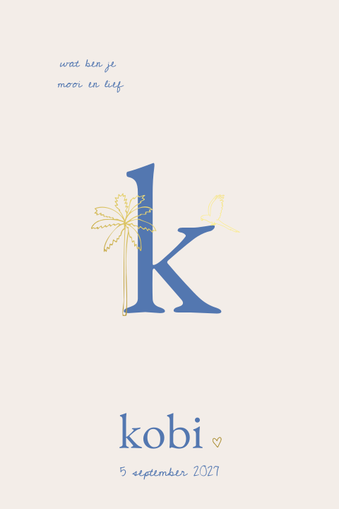 Lettergeboortekaartje jongen minimalistisch met palmboom en papegaai