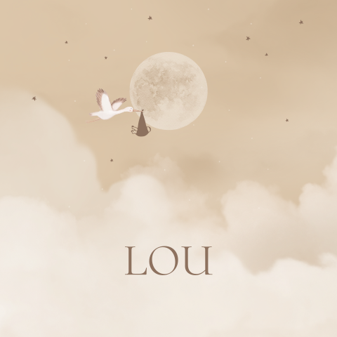 Geboortetegeltje ooievaar maan wolken baby kraamkado 15cm