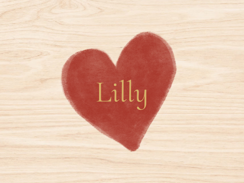 Memorybox herinneringskist geboorte hout 40x30x13cm