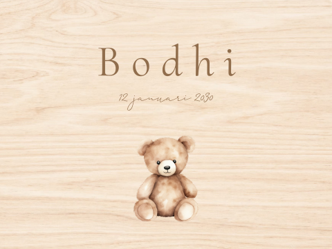 Houten memorybox baby bewaarkist lief aquarel knuffelbeertje