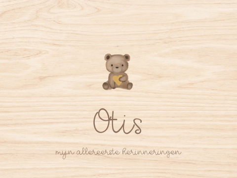 Houten memorybox knuffelbeertje allereerst herinneringen 30x40x13cm