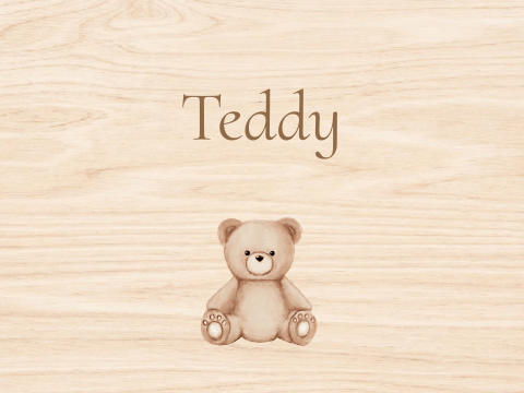 Houten memorybox baby bewaarkist lief aquarel knuffelbeertje
