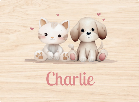 memorybox met kat, hond en hartjes