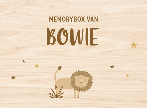 Avontuurlijke memorybox met naam, leeuw en sterren