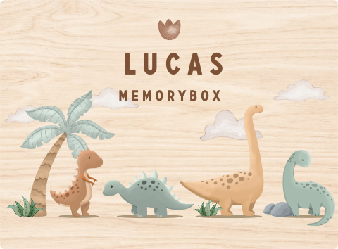 Stoere memorybox met dino's en naam