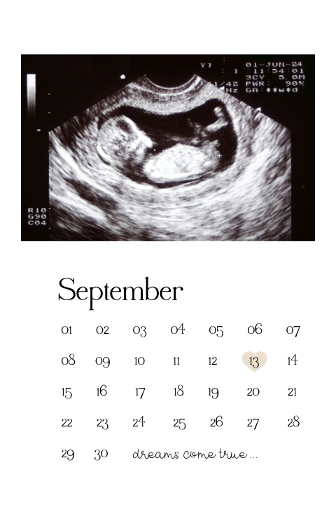 Kaart zwangerschapsaankondiging met kalender en echo