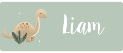 Naamsticker medium met dinosaurus  - 20 per vel