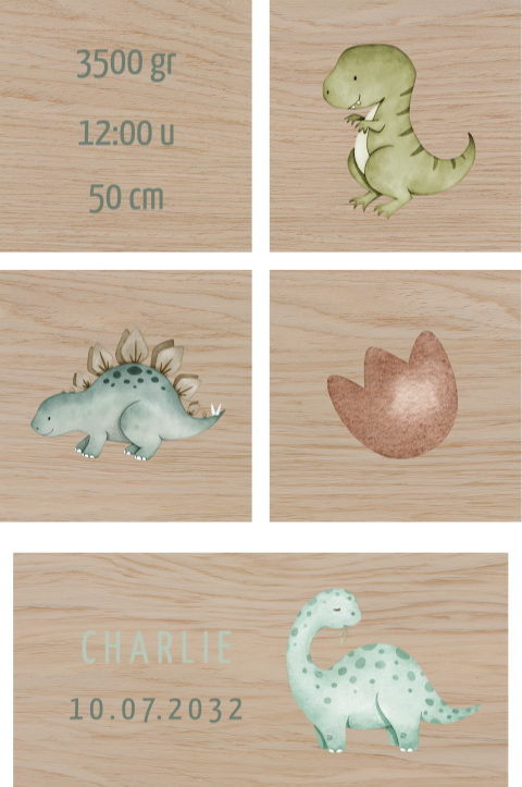 Houten blokken met geboortegegevens en dinos