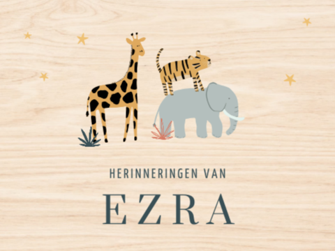 Stoere memorybox met jungledieren, sterren en naam
