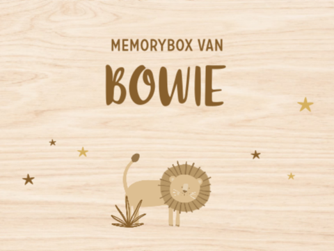 Avontuurlijke memorybox met naam, leeuw en sterren