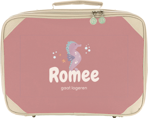 Koffertje met naam en zeepaardje
