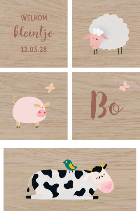 Houten blokken met boerderijdieren en naam