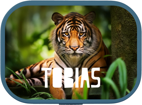 Avontuurlijke Mepal broodtrommel Campus met tijger en naam