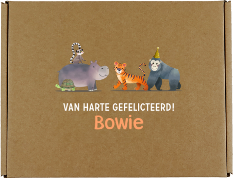 Feestelijke cadeaudoos van kraft met jungledieren en naam
