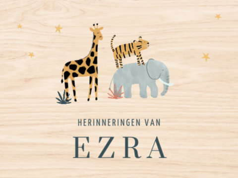 Stoere memorybox met jungledieren, sterren en naam