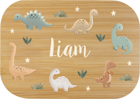 RVS broodtrommel met schattige dino's en sterretjes