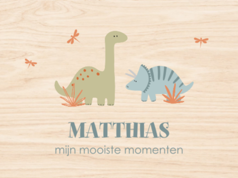 Avontuurlijke memorybox met dino's en naam