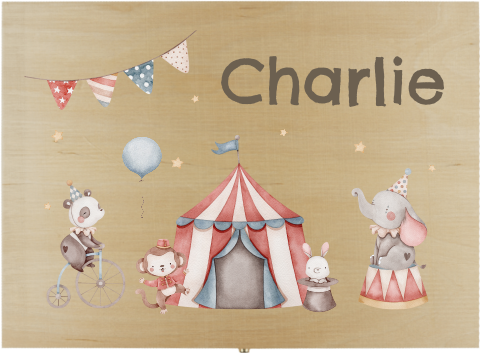 Vrolijke knutseldoos met circus thema en naam