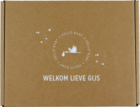 Lieve cadeaudoos met ooievaar, naam en hartjes