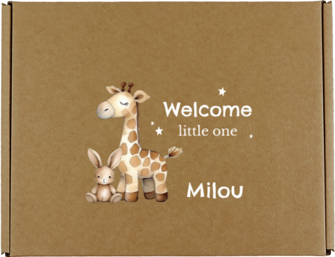 Avontuurlijke cadeaudoos van kraft met giraffen, sterren en tekst