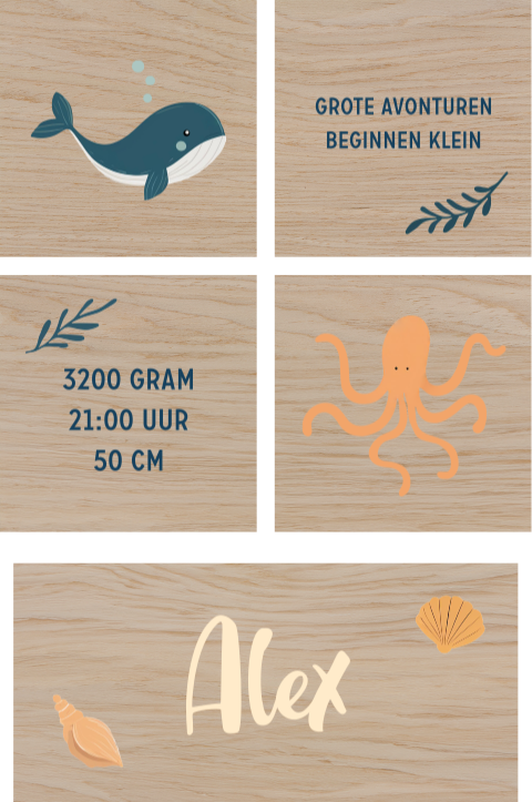 Houten blokken met zeedieren en naam