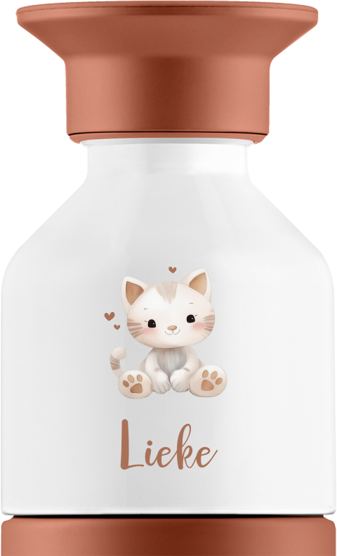 Dopper Thermosfles met kat en hartjes