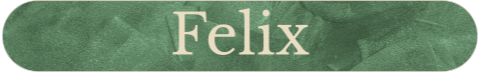 Naamsticker klein met groene velvet-look - 20 per vel