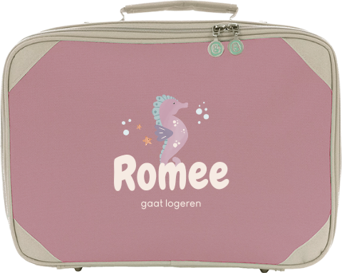 Koffertje met naam en zeepaardje