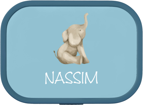 Lieve lunchbox Campus met olifantje en naam