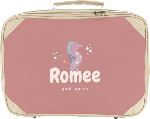 Koffertje met naam en zeepaardje