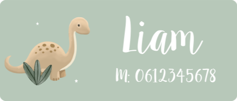 Naamsticker groot met dinosaurus - 20 per vel