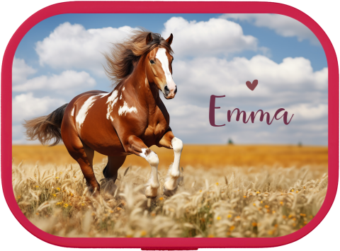 Stoere lunchbox campus met paard en naam