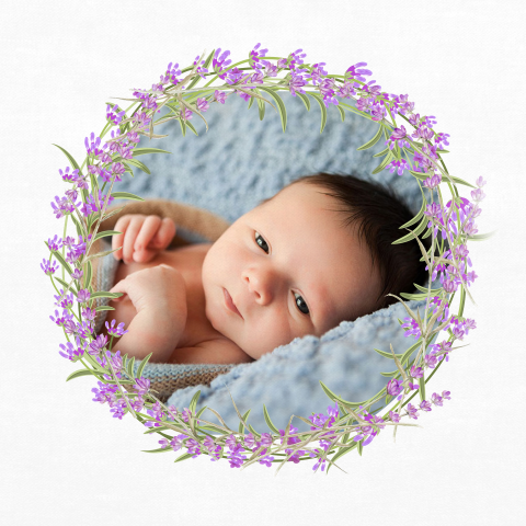 Faire-part de naissance avec couronne de lavande et photo