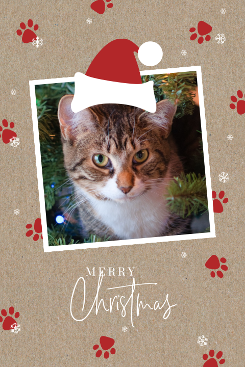 Carte de Noël en kraft avec un chat et des empreintes de pattes