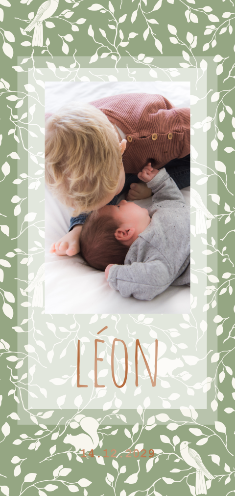 Faire-part de naissance avec feuillages, oiseaux et écureuils