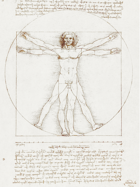 Affiche du Homme de Vitruve de Léonard de Vinci