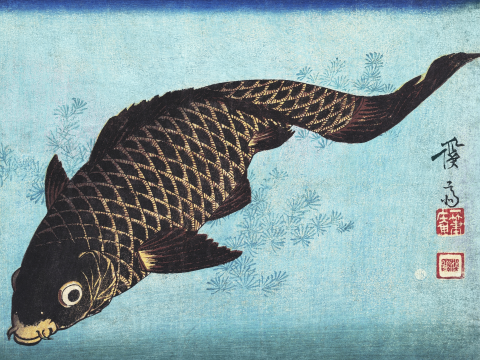 Affiche Koi de Keisai Eisen