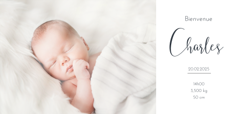 Faire-part de naissance élégant en format panoramique