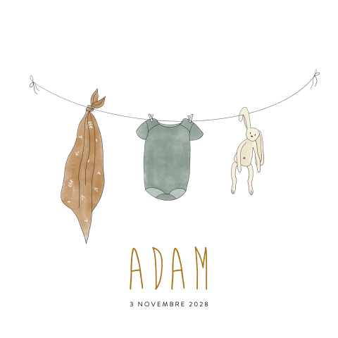 Faire-part de naissance garçon avec corde à linge et lapin