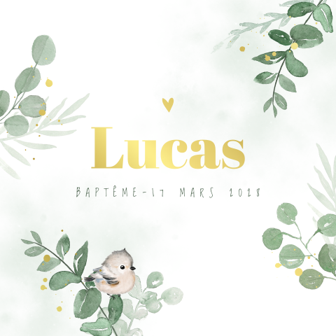 Faire-part de baptême avec feuilles eucalyptus et un oiseau