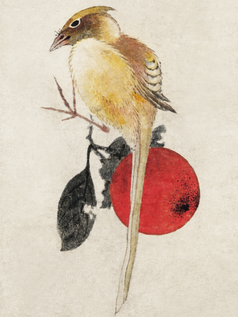 Affiche L'oiseau jaune de Katsushika Hokusai.