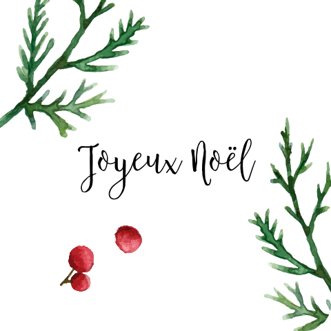 Autocollant cadeau avec branches de sapin – 12 ex.